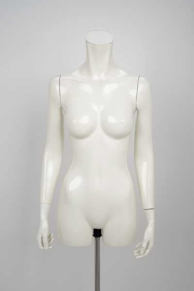 レディース半身トルソー